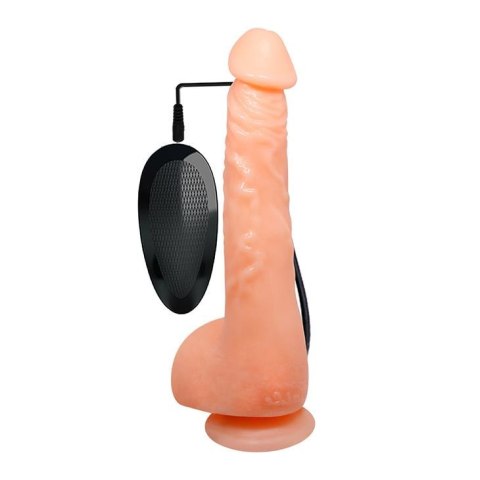 Penis realistyczny jądra przyssawka pilot 24cm BAILE