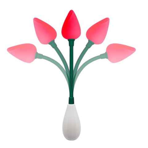 Wibrujący elastyczny masażer łechtaczki 7 trybów BAILE