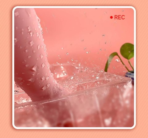 Stymulator dla kobiet 2w1 wibracje ssanie B - Series Lyla