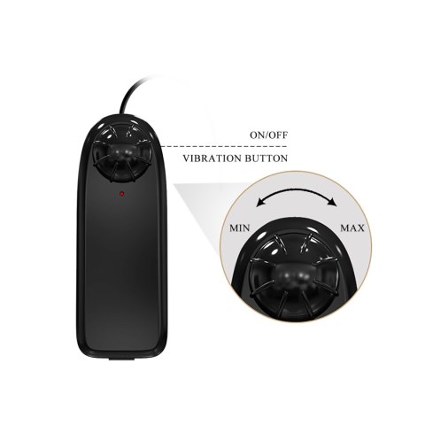 Sztuczny penis dildo realistyczne wibracje 24 cm BAILE