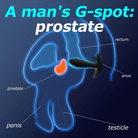 Wibrujący korek analny B - Series Cute