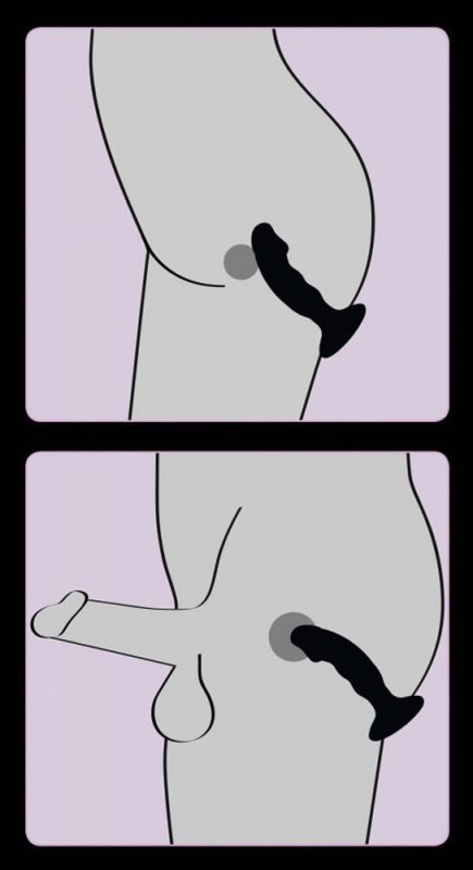 Black Velvets Rechargeable Plu Boss of toys