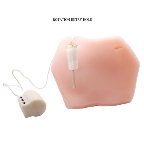 BAILE - Male Cock and Vagina Boss of toys