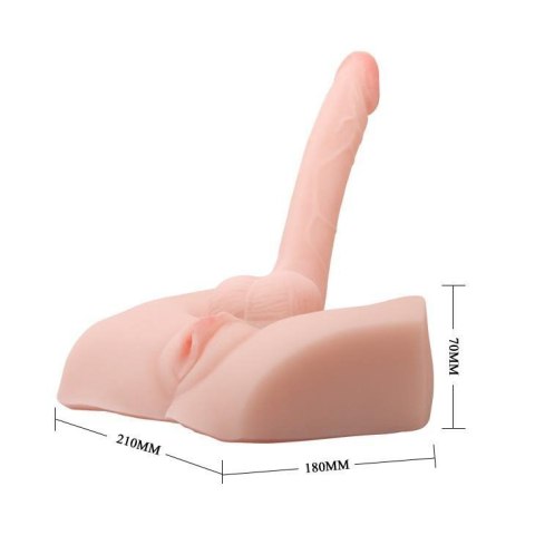 BAILE - Male Cock and Vagina Boss of toys