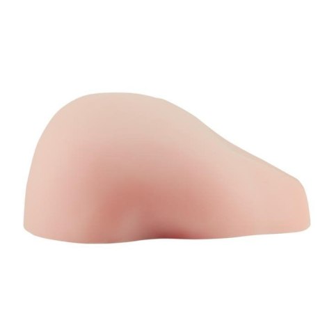 BAILE- Pussy and Ass Boss of toys