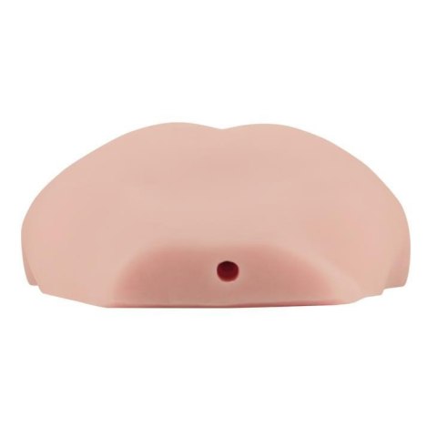 BAILE- Pussy and Ass Boss of toys