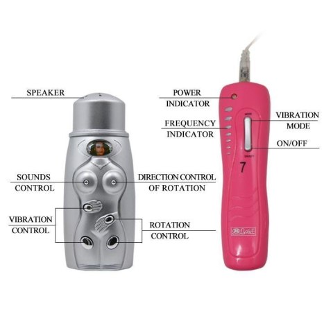 BAILE- Pussy and Ass Boss of toys