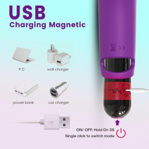 Aurora purple Boss of toys