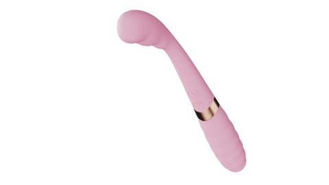Dual Vibration G Spot Stimulator Boss of toys