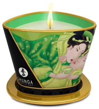 Massage Candle Exotic Green Tea Boss of toys