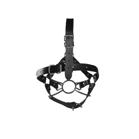 Head Harness with Spider Gag and Nose Hooks - Black Boss of toys