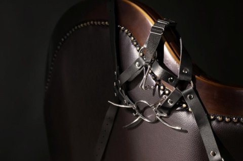 Head Harness with Spider Gag and Nose Hooks - Black Boss of toys