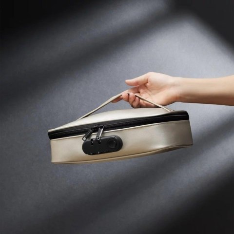 DISCREET BOX LUXURY GOLD Boss of toys