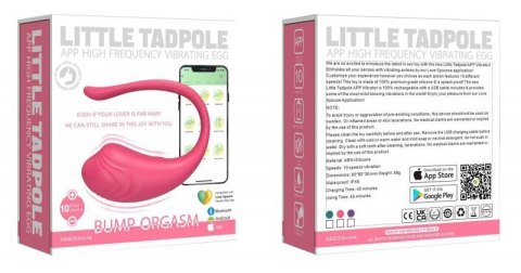 App Love Egg Green Boss of toys