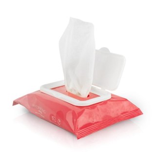 EasyGlide - Hydrating Wipes with Lubricant and Oils 25 wipes Boss of toys