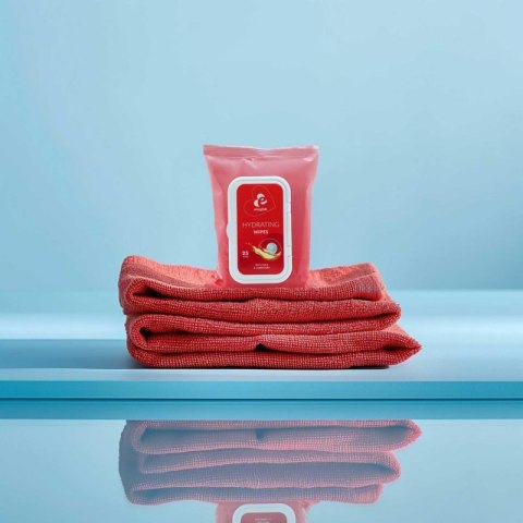 EasyGlide - Hydrating Wipes with Lubricant and Oils 25 wipes Boss of toys