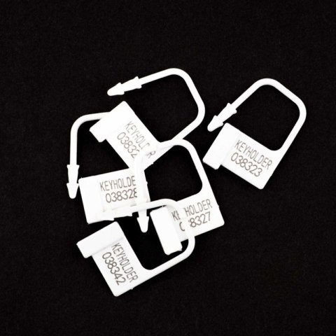 Penis Cock Cage - Regular Boss of toys