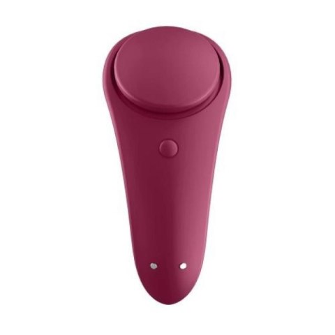 Sexy Secret Panty Vibrator Boss of toys