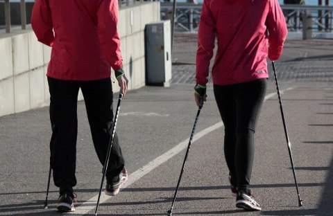 KIJ TREKKINGOWY KIJEK DO CHODZENIA PO GÓRACH NORDIC WALKING ROZSUWANE KIJKI Fortrade