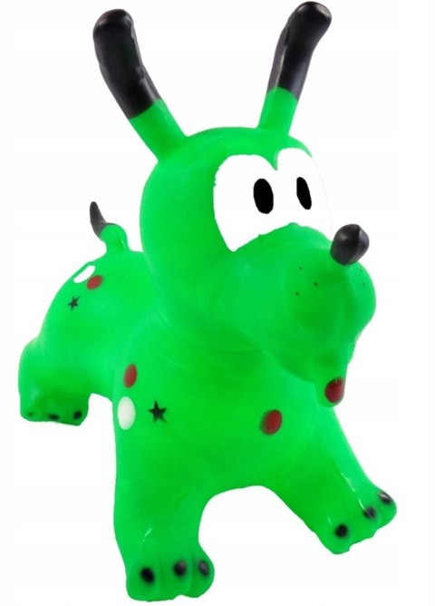 Skoczek pies pluto Fortrade