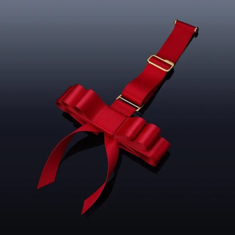 Portable Bowknot Over-The-Door Hand Restraint Gear UPKO UPKO