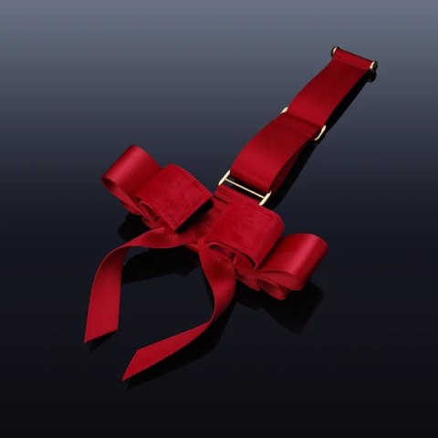 Portable Bowknot Over-The-Door Hand Restraint Gear UPKO UPKO