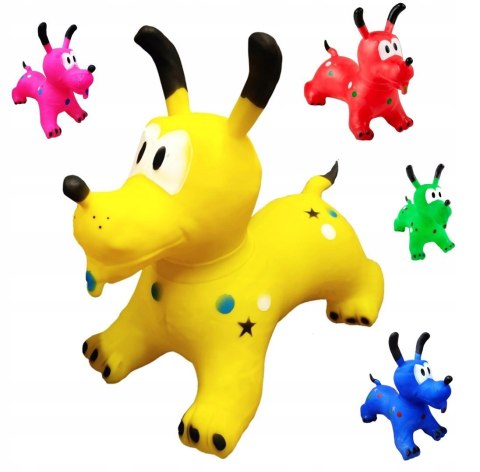 Skoczek pies pluto Fortrade