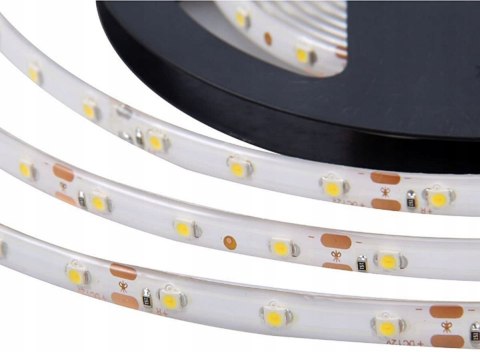 Taśma led 5m biała zimna Fortrade