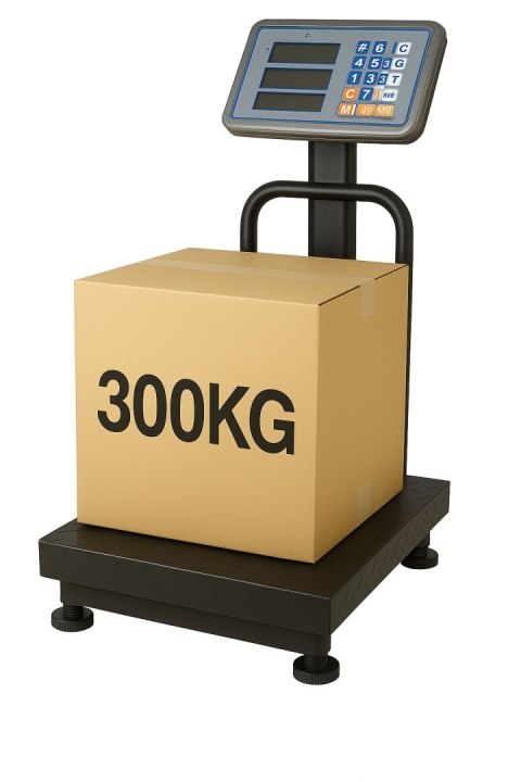 Waga 300 kg 40x50 + oparcie Fortrade