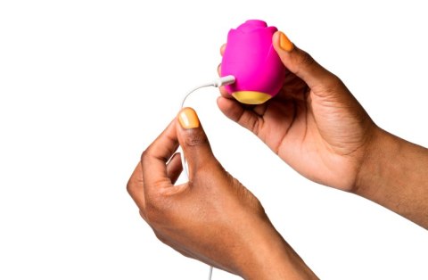 Powietrzny stymulator łechtaczki Rose Romp Romp