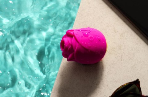 Powietrzny stymulator łechtaczki Rose Romp Romp