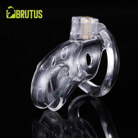Pas cnoty Shark Cage Chastity Cage Clear Brutus Brutus