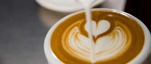 MLECZNIK DZBANEK STALOWY DO SPIENIANIA MLEKA 580ml Orion