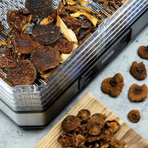 SUSZARKA DO GRZYBÓW OWOCÓW ZIÓŁ KLAUSBERG KB-7569 Klausberg