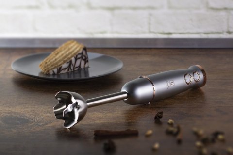 BLENDER RĘCZNY BERLINGER HAUS BH-9045 MOONLIGHT Berlinger haus