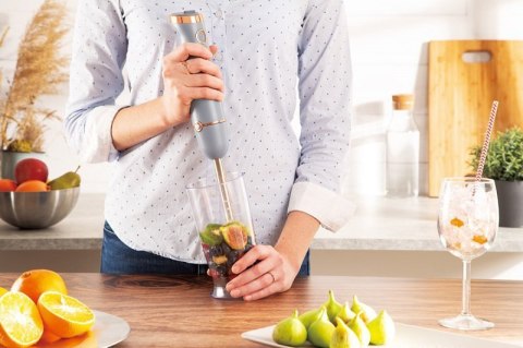 BLENDER RĘCZNY BERLINGER HAUS BH-9045 MOONLIGHT Berlinger haus