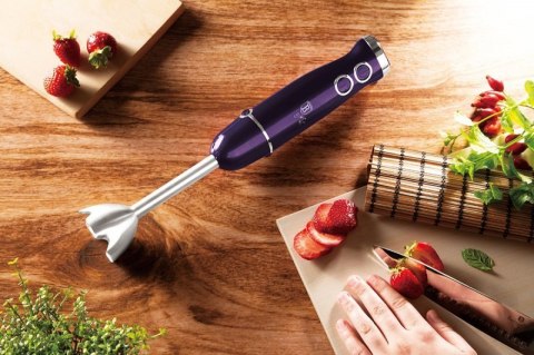 BLENDER RĘCZNY BERLINGER HAUS BH-9381 Berlinger haus