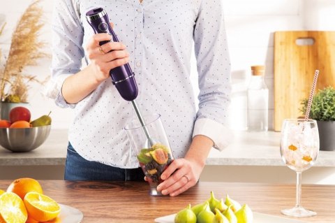 BLENDER RĘCZNY BERLINGER HAUS BH-9381 Berlinger haus