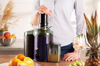 SOKOWIRÓWKA BERLINGER HAUS BH-9294 PURPLE ECLIPSE Berlinger haus