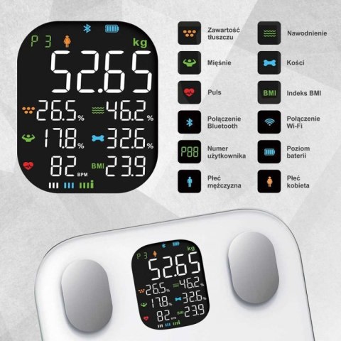 ANALITYCZNA WAGA ŁAZIENKOWA SMART IOS ANDROID KLAUSBERG KB-7855 Klausberg