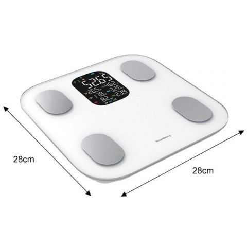 ANALITYCZNA WAGA ŁAZIENKOWA SMART IOS ANDROID KLAUSBERG KB-7855 Klausberg