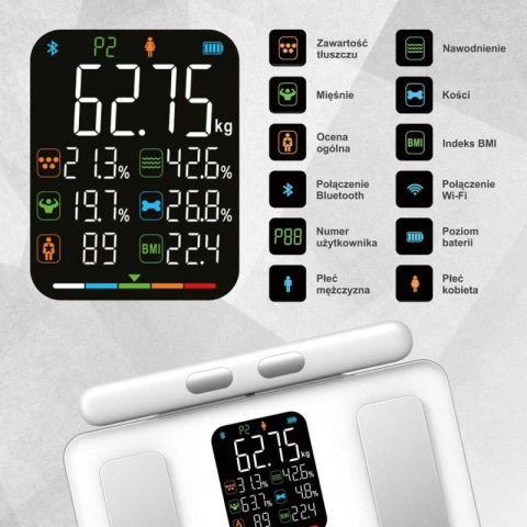 ANALITYCZNA WAGA ŁAZIENKOWA SMART IOS ANDROID KLAUSBERG KB-7857 Klausberg