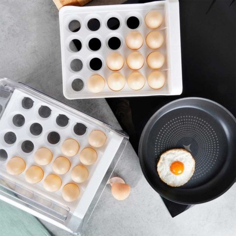 DWUPOZIOMOWY ORGANIZER POJEMNIK DO LODÓWKI NA 40 JAJEK 229164 Orion