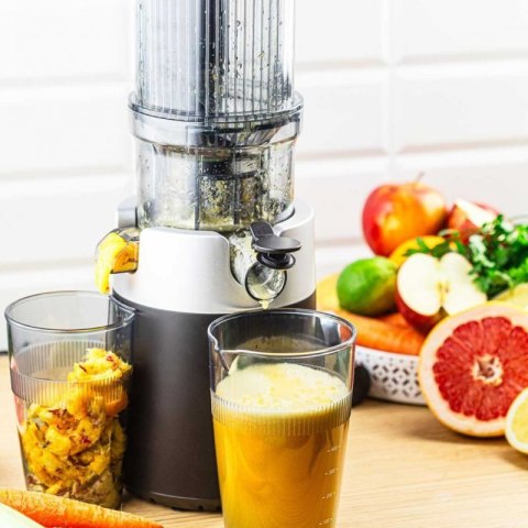 SOKOWIRÓWKA WYCISKARKA WOLNOOBROTOWA PIONOWA KLAUSBERG KB-7871 Klausberg