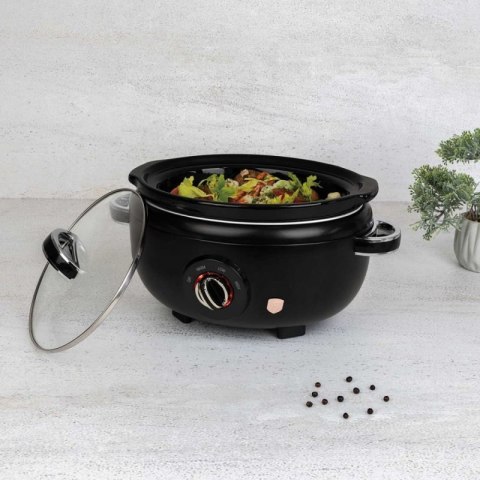 WOLNOWAR GARNEK ELEKTRYCZNY 3,5L BERLINGER HAUS BH-9669 BLACK ROSE Berlinger haus