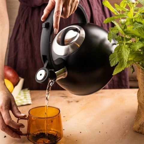 CZAJNIK STALOWY Z GWIZDKIEM 2,5L KLAUSBERG KB-7911 Klausberg