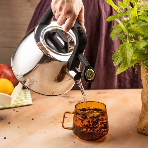 CZAJNIK STALOWY Z GWIZDKIEM 2,5L KLAUSBERG KB-7914 Klausberg