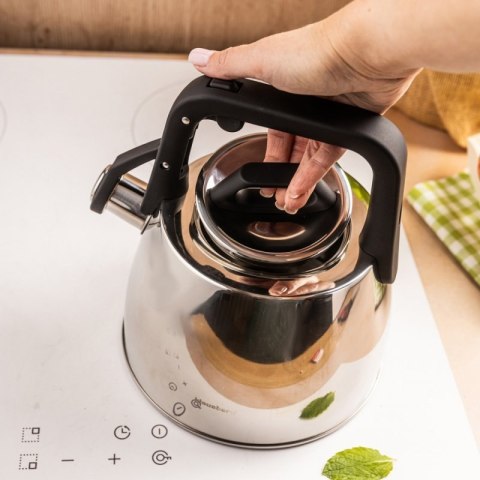 CZAJNIK STALOWY Z GWIZDKIEM 2,5L KLAUSBERG KB-7914 Klausberg