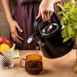 CZAJNIK STALOWY Z GWIZDKIEM 2,5L KLAUSBERG KB-7915 Klausberg