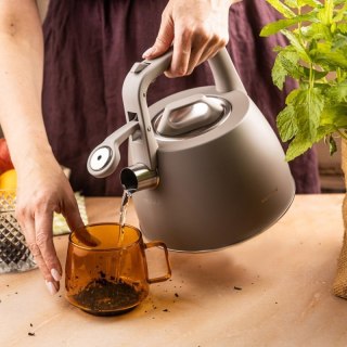 CZAJNIK STALOWY Z GWIZDKIEM 2,5L KLAUSBERG KB-7916 Klausberg